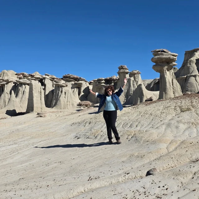 About Yesterday , Ah-Shi-Sle-Pah Wilderness New Mexico. 
Les comparto un poco de lo que vi ayer en Nuevo México. 
Un hike de casi 4 millas con que se caracteriza por formaciones de arenisca erosionadas, hoodoos, madera petrificada y fósiles de dinosaurios..